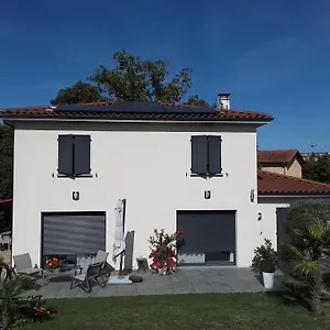 L'olivier , Mornant France